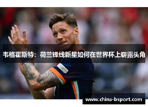 韦格霍斯特：荷兰锋线新星如何在世界杯上崭露头角