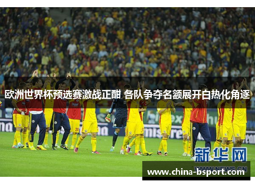 欧洲世界杯预选赛激战正酣 各队争夺名额展开白热化角逐