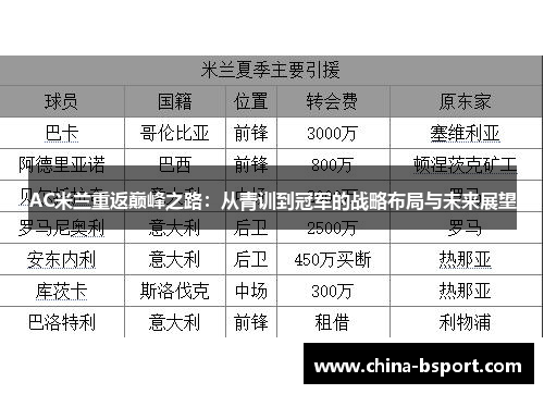 AC米兰重返巅峰之路：从青训到冠军的战略布局与未来展望