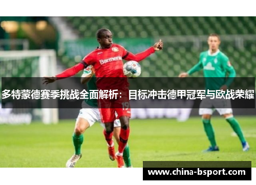 多特蒙德赛季挑战全面解析：目标冲击德甲冠军与欧战荣耀