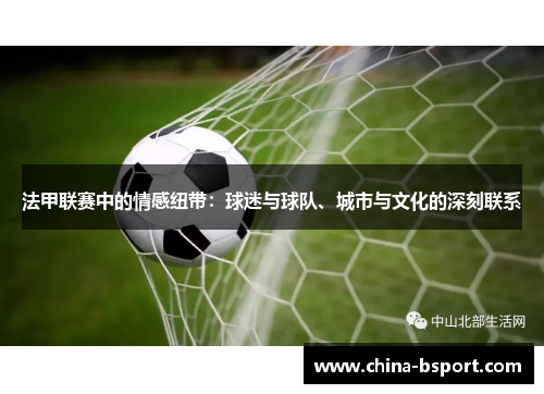法甲联赛中的情感纽带：球迷与球队、城市与文化的深刻联系
