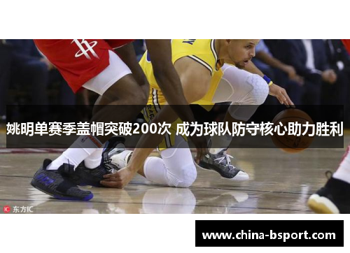 姚明单赛季盖帽突破200次 成为球队防守核心助力胜利