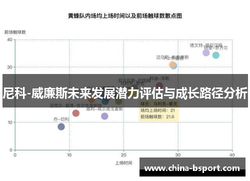 尼科-威廉斯未来发展潜力评估与成长路径分析