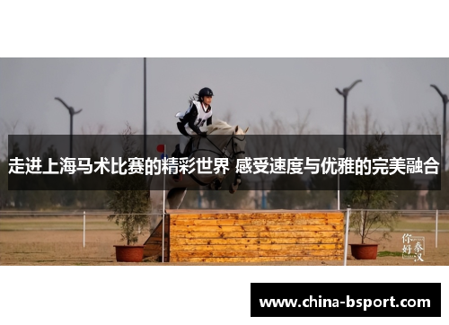 走进上海马术比赛的精彩世界 感受速度与优雅的完美融合