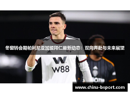 冬窗转会期帕利尼亚加盟拜仁最新动态：双向奔赴与未来展望