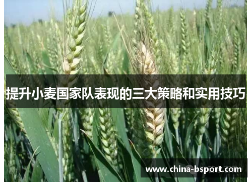 提升小麦国家队表现的三大策略和实用技巧