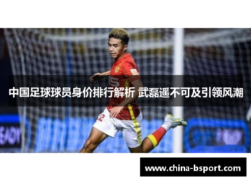 中国足球球员身价排行解析 武磊遥不可及引领风潮