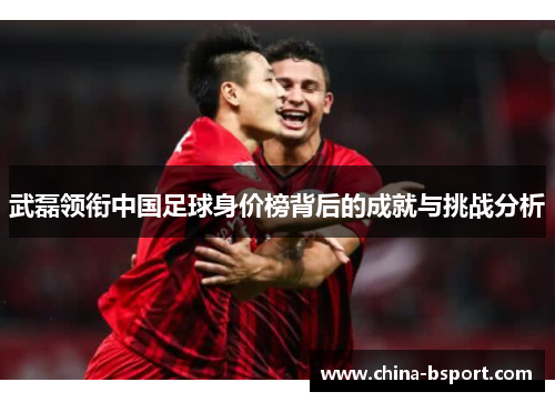 武磊领衔中国足球身价榜背后的成就与挑战分析