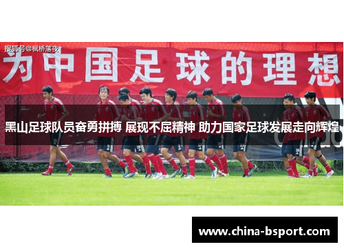黑山足球队员奋勇拼搏 展现不屈精神 助力国家足球发展走向辉煌