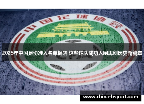 2025年中国足协准入名单揭晓 这些球队成功入围再创历史新篇章