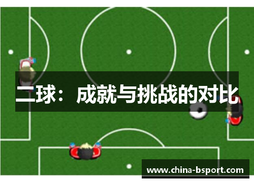 二球：成就与挑战的对比