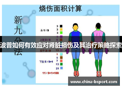 波普如何有效应对肾脏损伤及其治疗策略探索