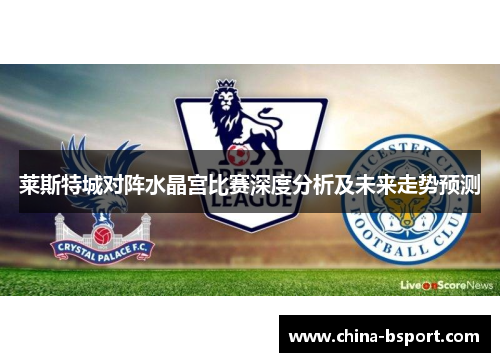 莱斯特城对阵水晶宫比赛深度分析及未来走势预测