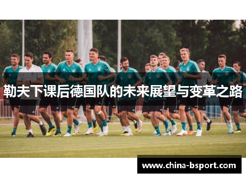勒夫下课后德国队的未来展望与变革之路