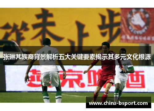 张琳芃族裔背景解析五大关键要素揭示其多元文化根源