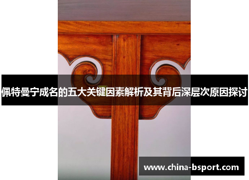 佩特曼宁成名的五大关键因素解析及其背后深层次原因探讨