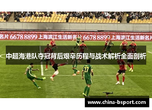 中超海港队夺冠背后艰辛历程与战术解析全面剖析