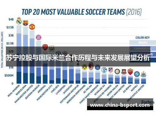 苏宁控股与国际米兰合作历程与未来发展展望分析