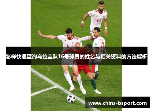 怎样快速查询乌拉圭队16号球员的姓名与相关资料的方法解析 怎样快速查询乌拉圭队16号球员的姓名与相关资料的方法解析
