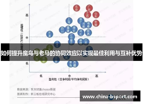 如何提升魔鸟与老马的协同效应以实现最佳利用与互补优势