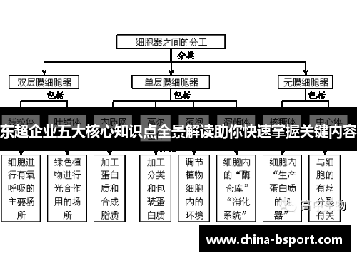 东超企业五大核心知识点全景解读助你快速掌握关键内容