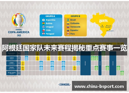 阿根廷国家队未来赛程揭秘重点赛事一览