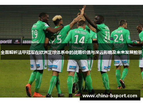 全面解析法甲冠军在欧洲足球体系中的战略价值与深远影响及未来发展前景