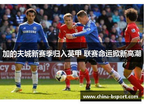 加的夫城新赛季归入英甲 联赛命运掀新高潮