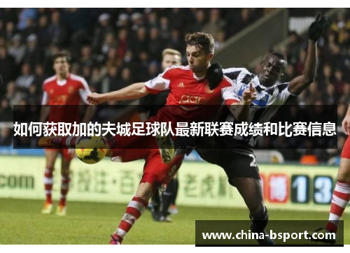 如何获取加的夫城足球队最新联赛成绩和比赛信息