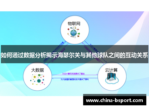 如何通过数据分析揭示海瑟尔关与其他球队之间的互动关系